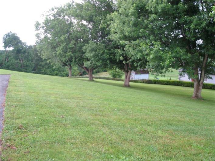 Side yard off driveway