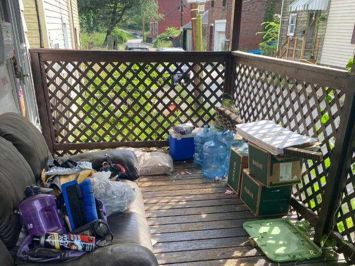 3150 Lecky Ave, Pittsburgh, PA 15212, 1 Bedroom Bedrooms, ,1 BathroomBathrooms,Residential,For Sale,Lecky Ave,1711926