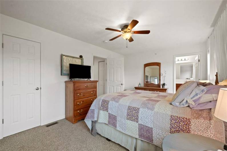The bedrooms suite includes a walk in closet and it's own full bathroom ensuite.  Notice the overhead light fixture/fan combo which brightens the room even on those cloudy days.