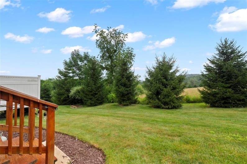 Step from the deck to the level yard ideal for pets or kids to play.