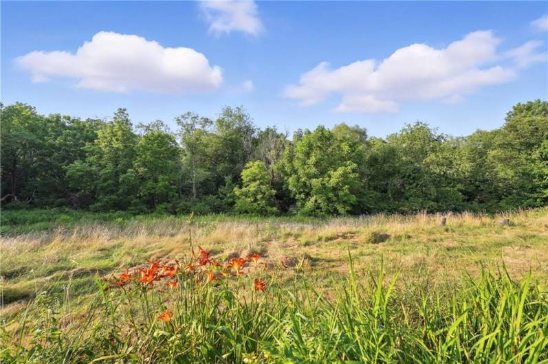 123 Constitution Blvd, Fredonia, PA 16124, 3 Bedrooms Bedrooms, ,2 BathroomsBathrooms,Residential,For Sale,Constitution Blvd,1711962