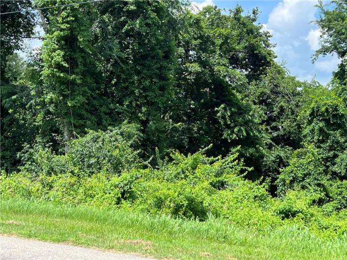 Lot 355 & 356 Floral Hill Drive, Washington, PA 15301, ,Farm-acreage-lot,For Sale,Floral Hill Drive,1711996