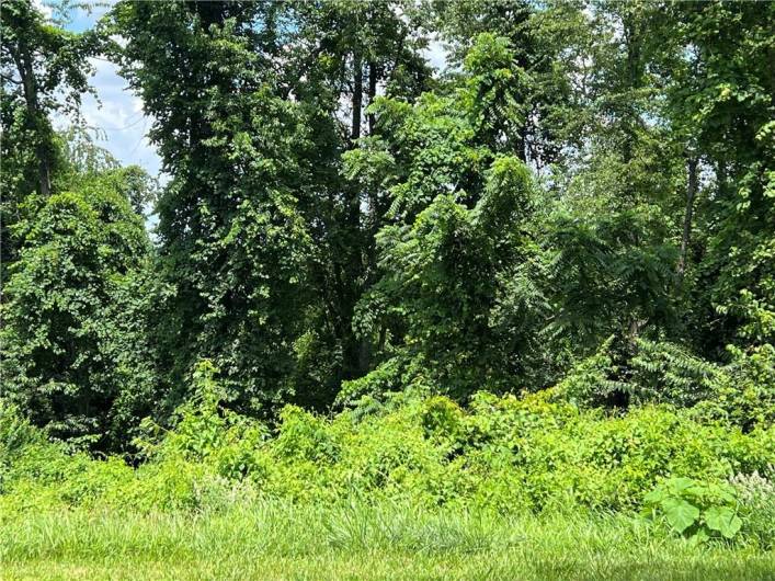 Lot 355 & 356 Floral Hill Drive, Washington, PA 15301, ,Farm-acreage-lot,For Sale,Floral Hill Drive,1711996