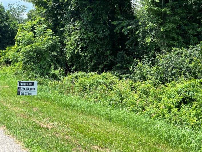 Lot 355 & 356 Floral Hill Drive, Washington, PA 15301, ,Farm-acreage-lot,For Sale,Floral Hill Drive,1711996