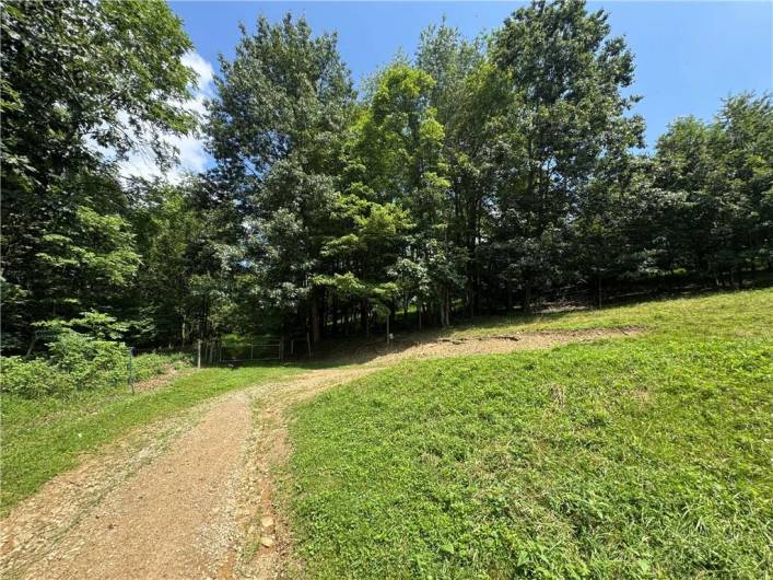 619 Houser Road, 15747, PA 15747, 3 Bedrooms Bedrooms, ,3 BathroomsBathrooms,Farm-acreage-lot,For Sale,Houser Road,0,1711768