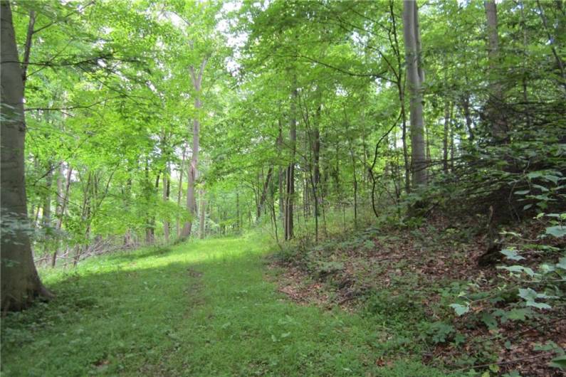 Build your dream home on this large 42.5 acre parcel - or subdivide, sell off some acreage and use money to help with building costs.