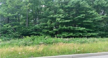 Over .7 acre wooded lot