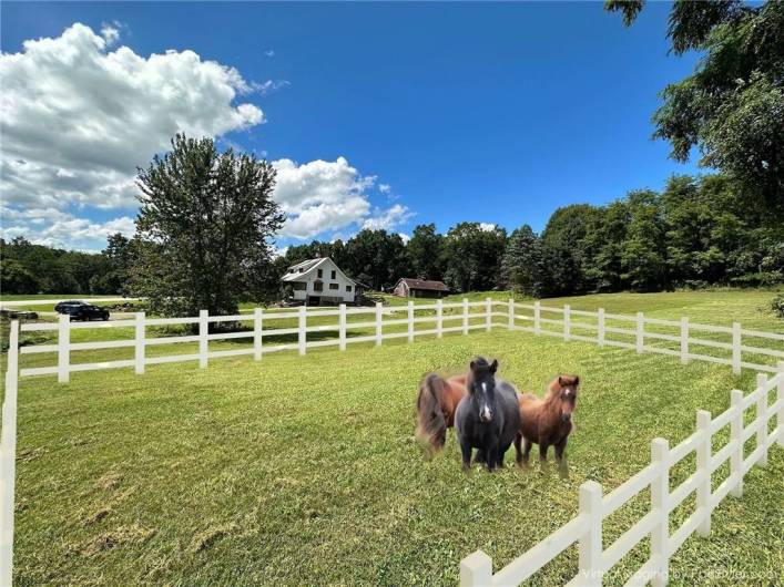 VIRTUALLY STAGED FENCE & HORSES: This is where the Owner dreamed of adding a fence and raising horses; his service in the Army did not allow time for that and since his retirement he has been updating the home. We hope the new owner will finish this dream!