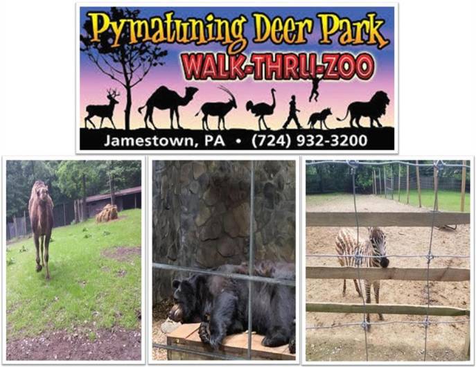 PYMATUNING DEER PARK: is 0.4 miles from here at 804 E Jamestown Rd, Jamestown, PA 16134, it features over 250 animals and birds from around the world, visitors encounter both domestic and exotic animals, plus the children’s pony rides and a ride on the “Deer Park Express”.